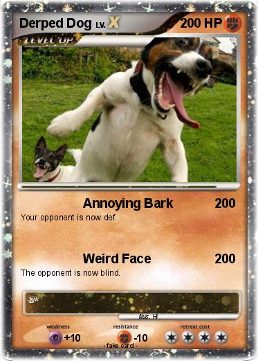 Pokemon Derped Dog
