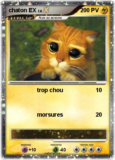 Pokemon chaton EX