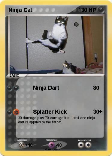 Pokemon Ninja Cat