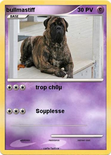 Pokemon bullmastiff