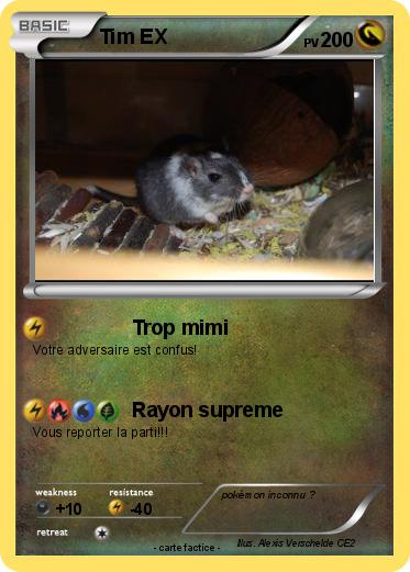 Pokemon Tim EX