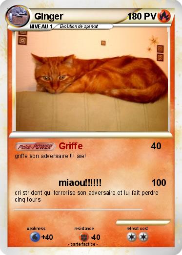 Pokemon Ginger