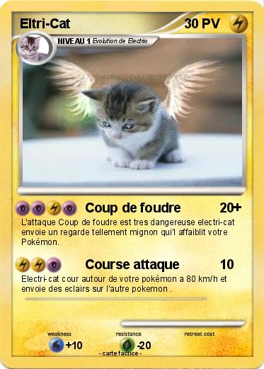 Pokemon Eltri-Cat