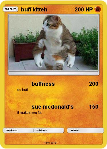 Pokemon buff kitteh