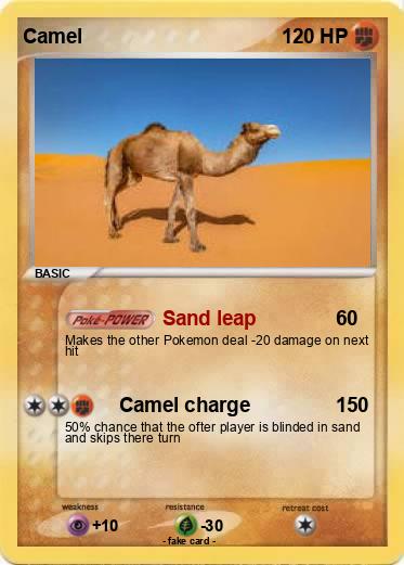 Pokemon Camel
