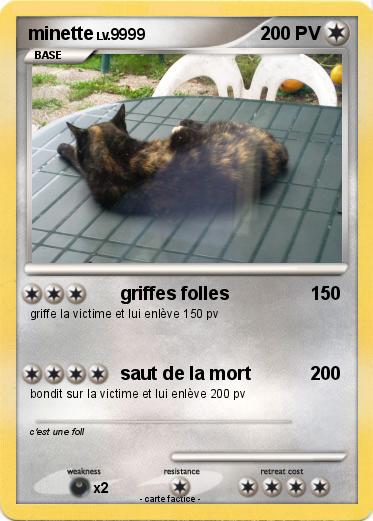 Pokemon minette