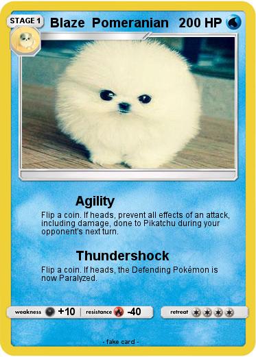 Pokemon Blaze  Pomeranian