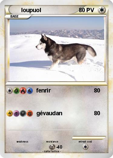 Pokemon loupuol