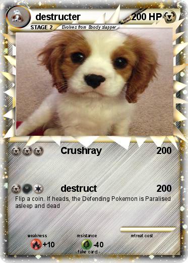Pokemon destructer