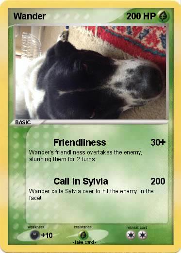 Pokemon Wander