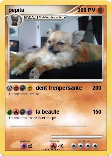 Pokemon pepita