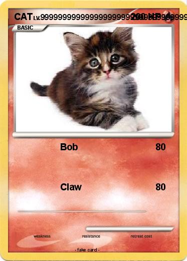Pokemon CAT