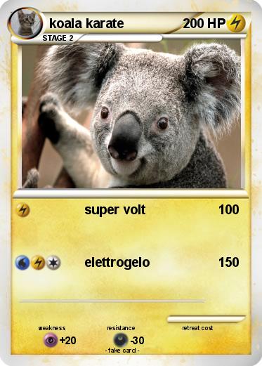 Pokemon koala karate