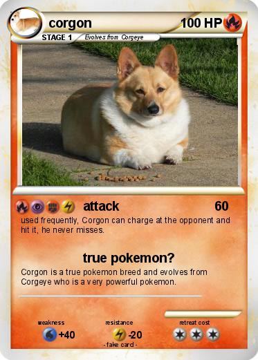 Pokemon corgon