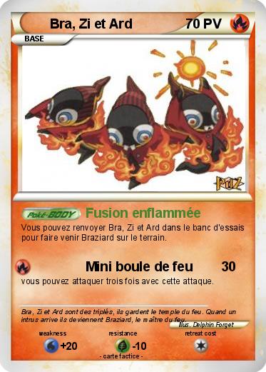 Pokemon Bra, Zi et Ard