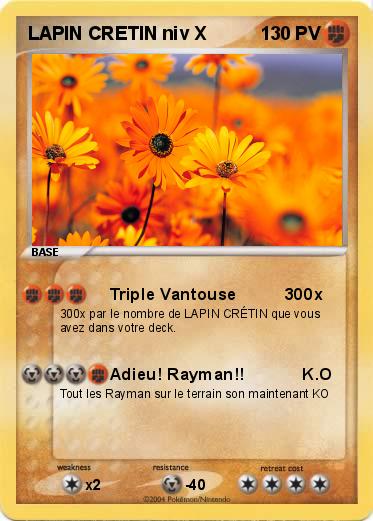 Pokemon LAPIN CRETIN niv X