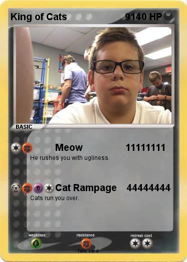 Pokemon King of Cats                       9