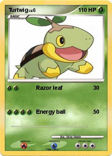 Pokemon Turtwig