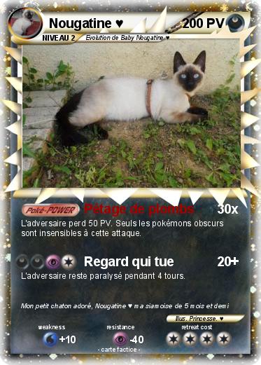 Pokemon Nougatine ♥