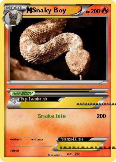 Pokemon Snaky Boy