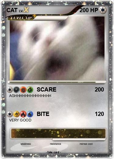Pokemon CAT