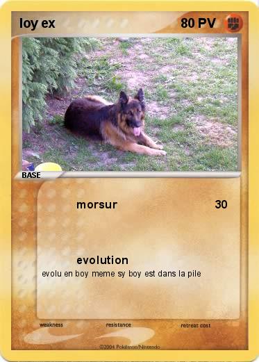 Pokemon loy ex