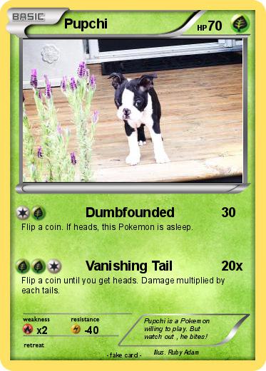 Pokemon Pupchi