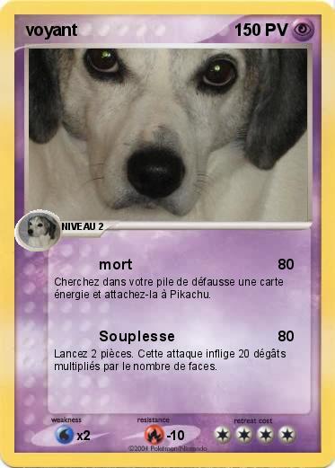 Pokemon voyant