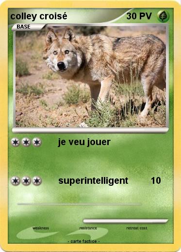 Pokemon colley croisé