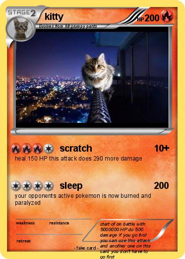Pokemon kitty