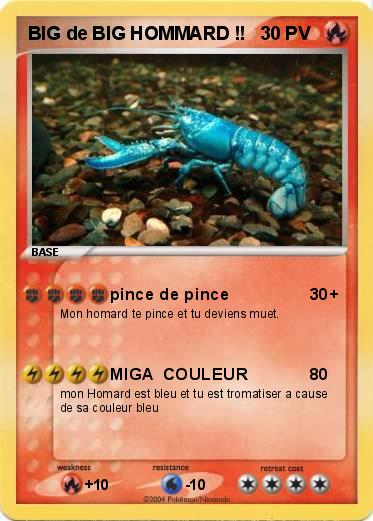 Pokemon BIG de BIG HOMMARD !!