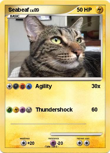 Pokemon Seabeaf