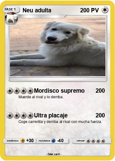 Pokemon Neu adulta