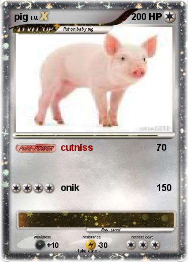 Pokemon pig