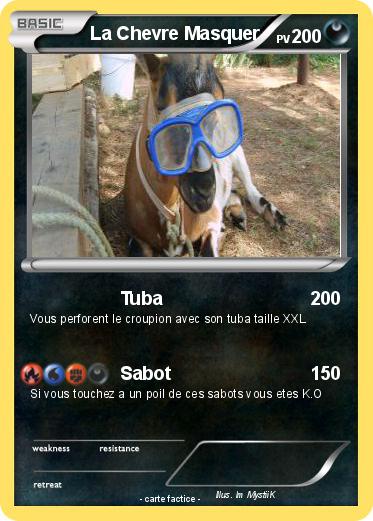 Pokemon La Chevre Masquer