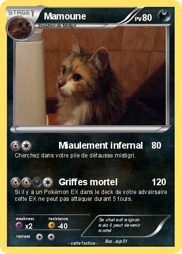 Pokemon Mamoune