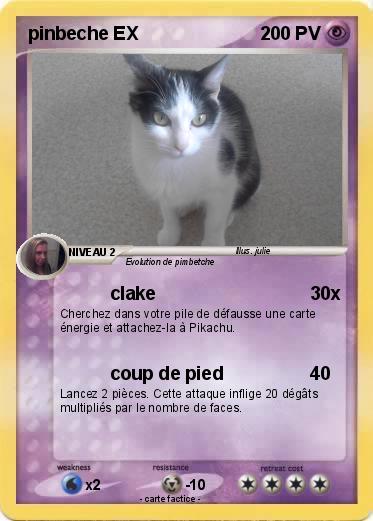 Pokemon pinbeche EX