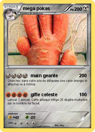 Pokemon mega pokas