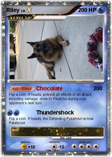 Pokemon Riley