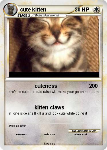 Pokemon cute kitten