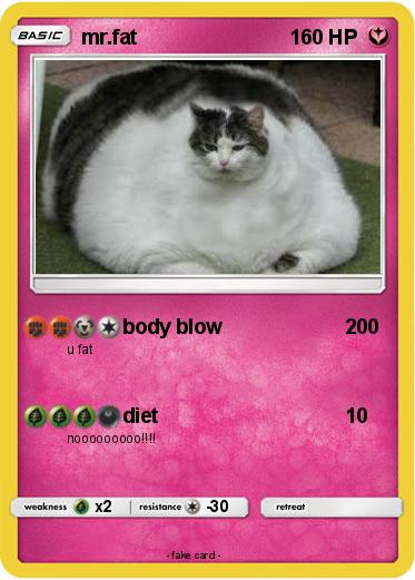 Pokemon mr.fat