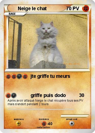 Pokemon Neige le chat
