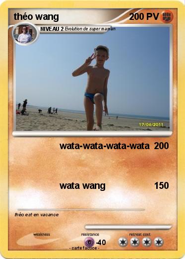 Pokemon théo wang