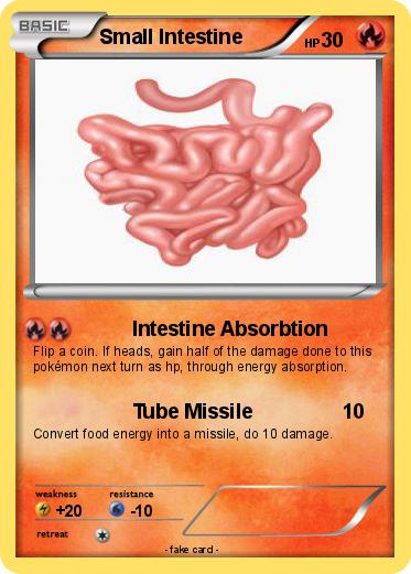 Pokemon Small Intestine