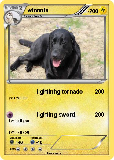 Pokemon winnnie