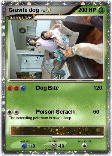 Pokemon Gravite dog