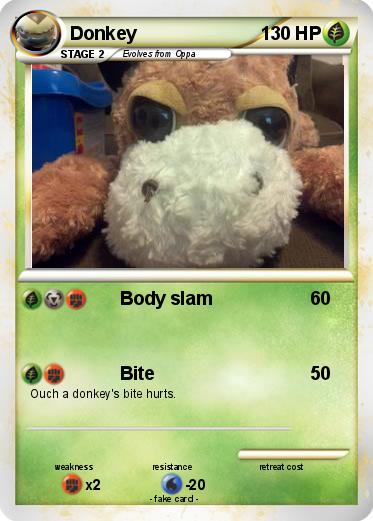 Pokemon Donkey