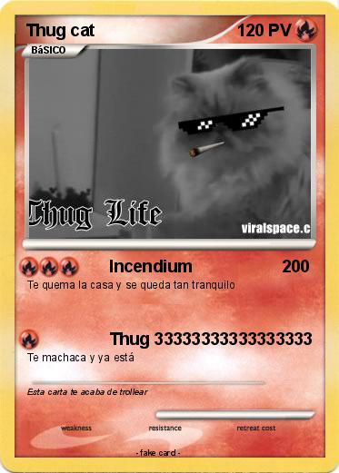 Pokemon Thug cat