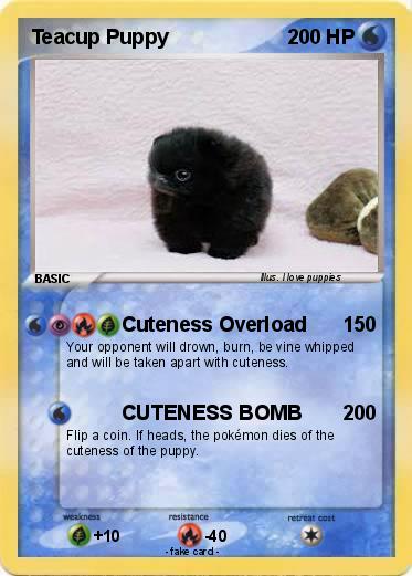 Pokemon Teacup Puppy