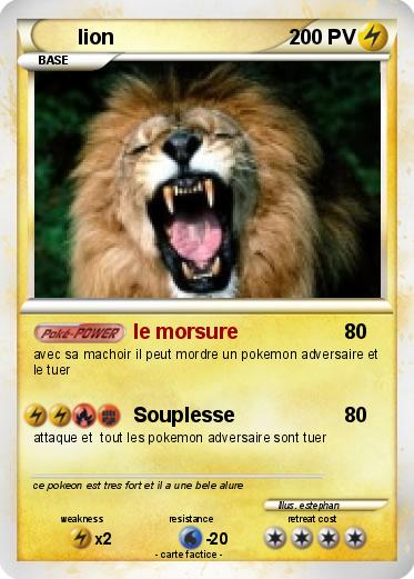Pokemon lion